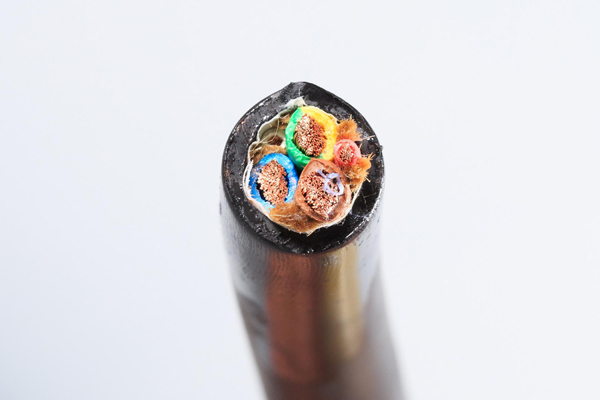 61d4f4e3e1a24.jpg 01.jpg